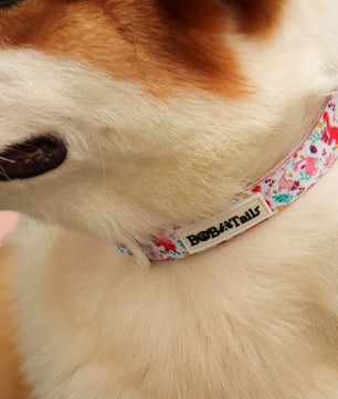 Dinosaur Printed Dog Collar – Fun Adjustable Collar for Small & Medium Dogs