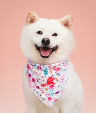 White dog wearing a dinosaur printed bandana on a pink background