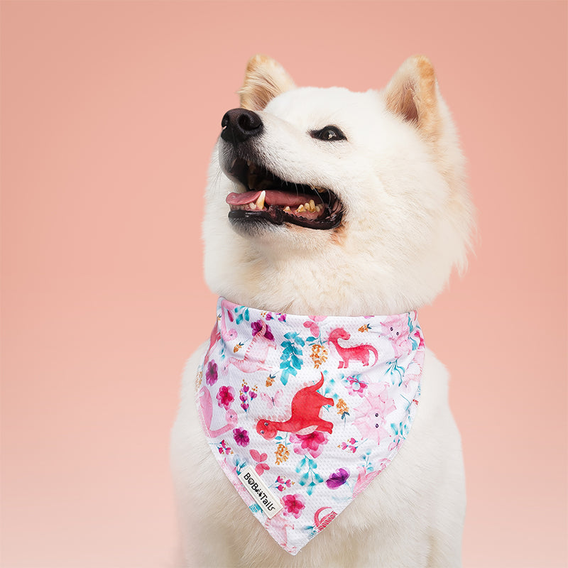 Dinosaur Printed Dog Bandana