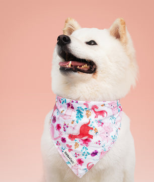White dog wearing a dinosaur printed bandana with pink and blue designs on a pink background