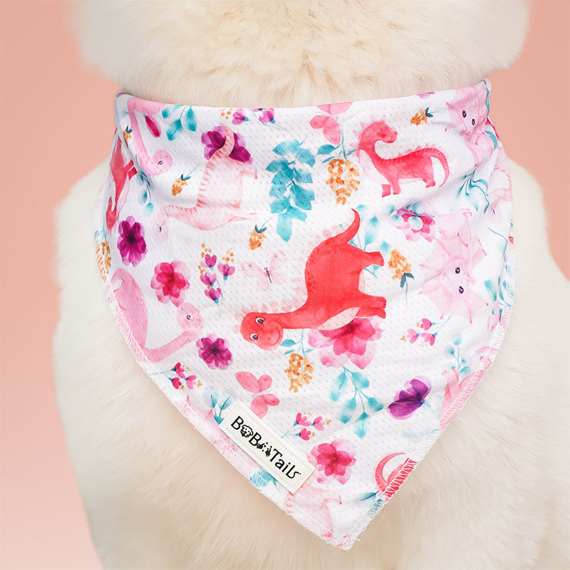 Dinosaur Printed Dog Bandana