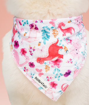 dinosaur printed bandana on a pet with a pink background