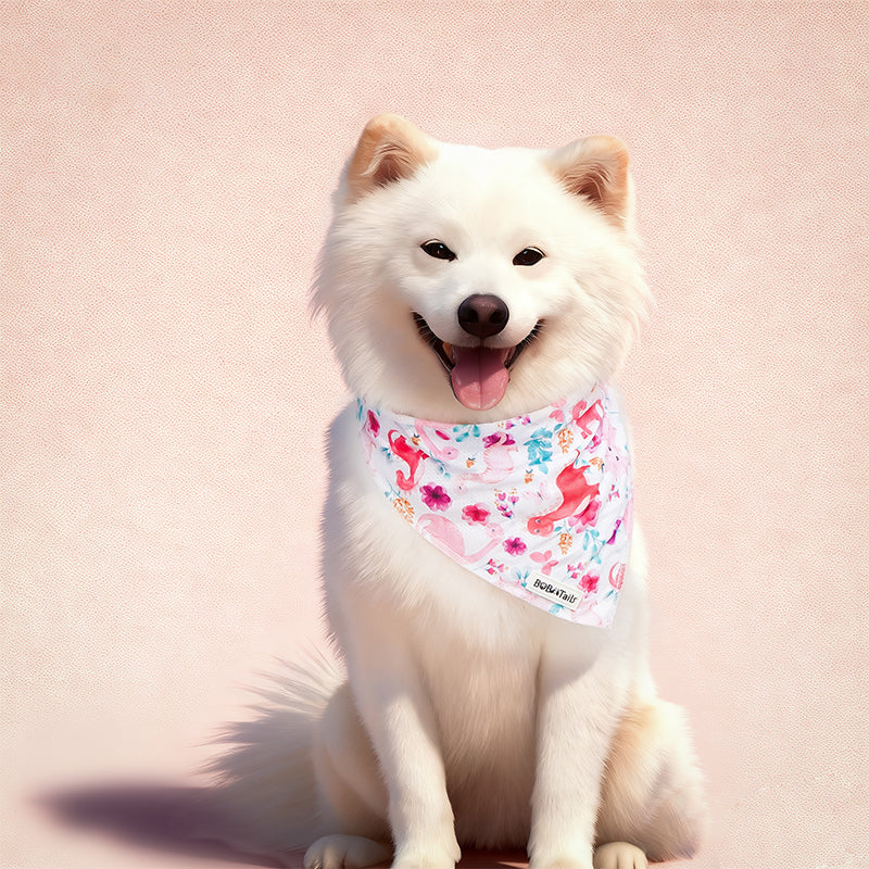 White dog wearing a dinosaur printed bandana on a pink background