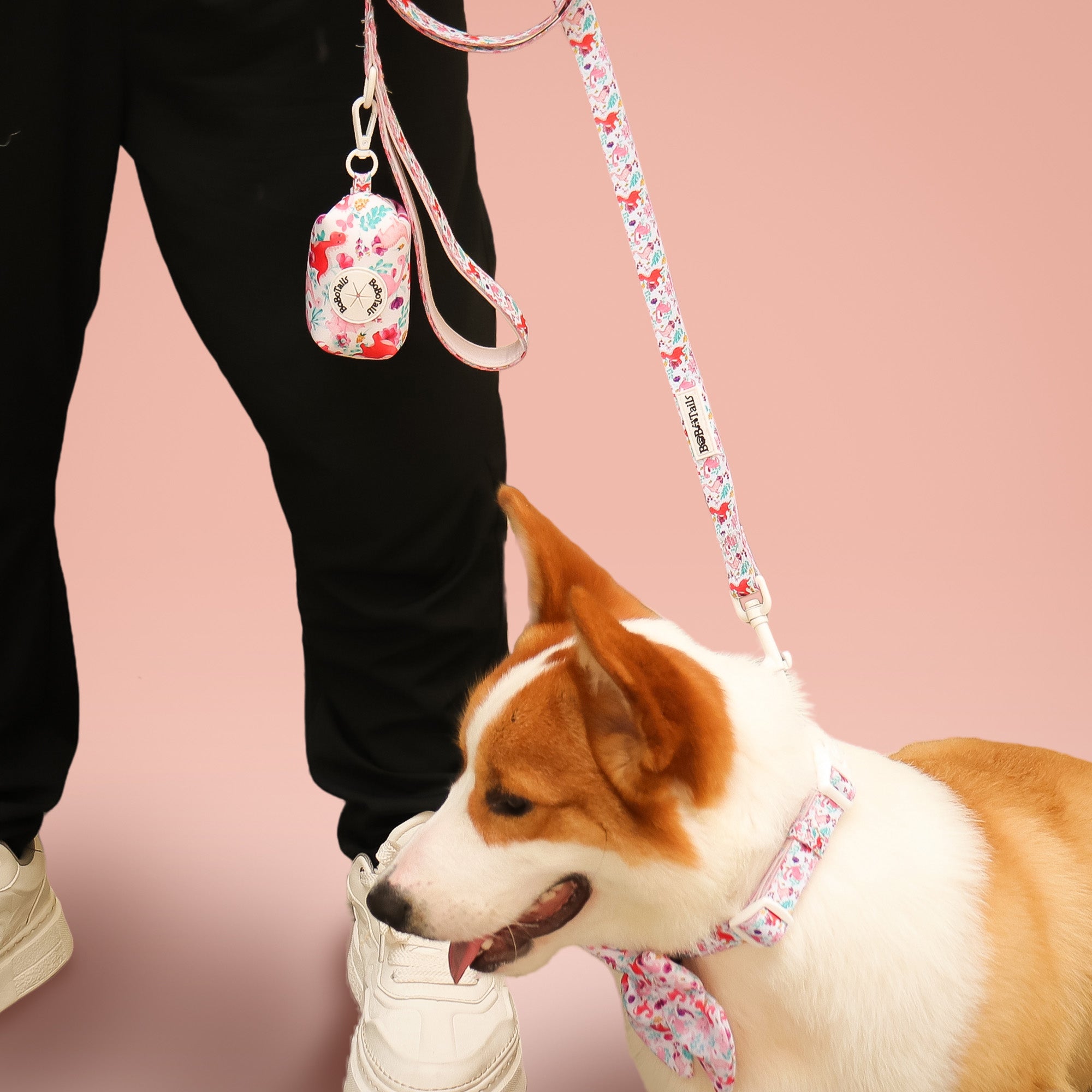 Dinosaur Printed Small Dog Leash
