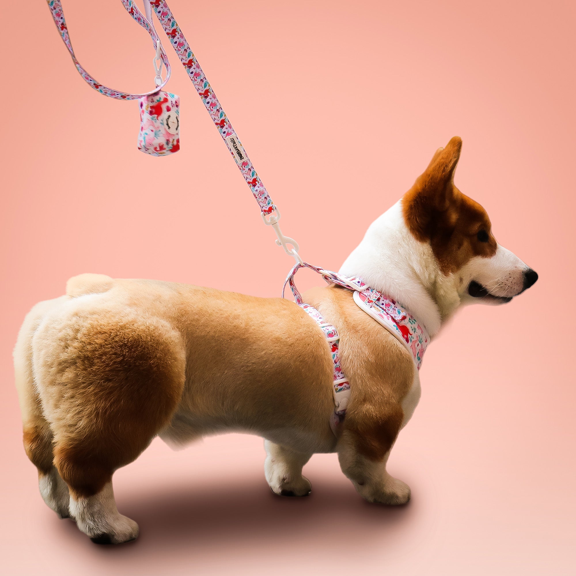 Dinosaur Printed Small Dog Leash