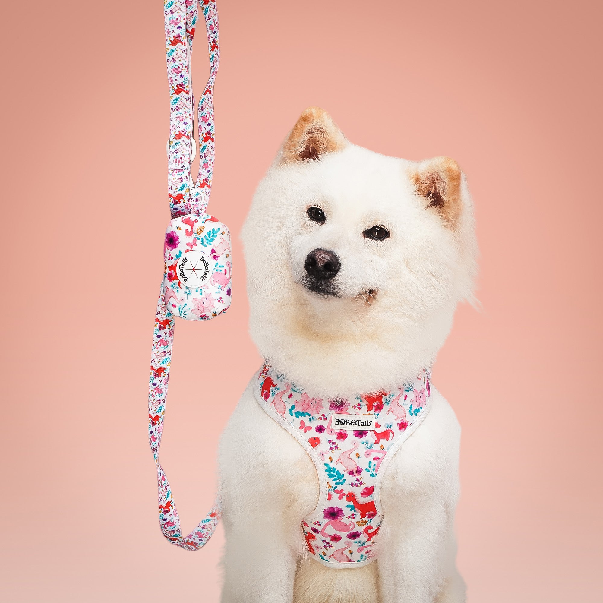 Dinosaur Printed Small Dog Leash