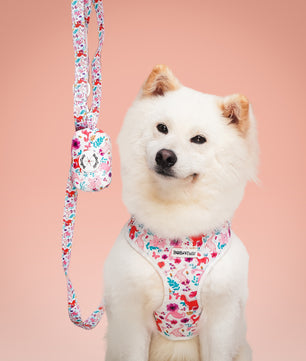 Dinosaur Printed best dog collars and leashes for training matching the harness and owner accessories for daily dog walks