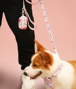 Dinosaur Printed best leash for large dogs matching the harness and owner accessories in a coordinated set