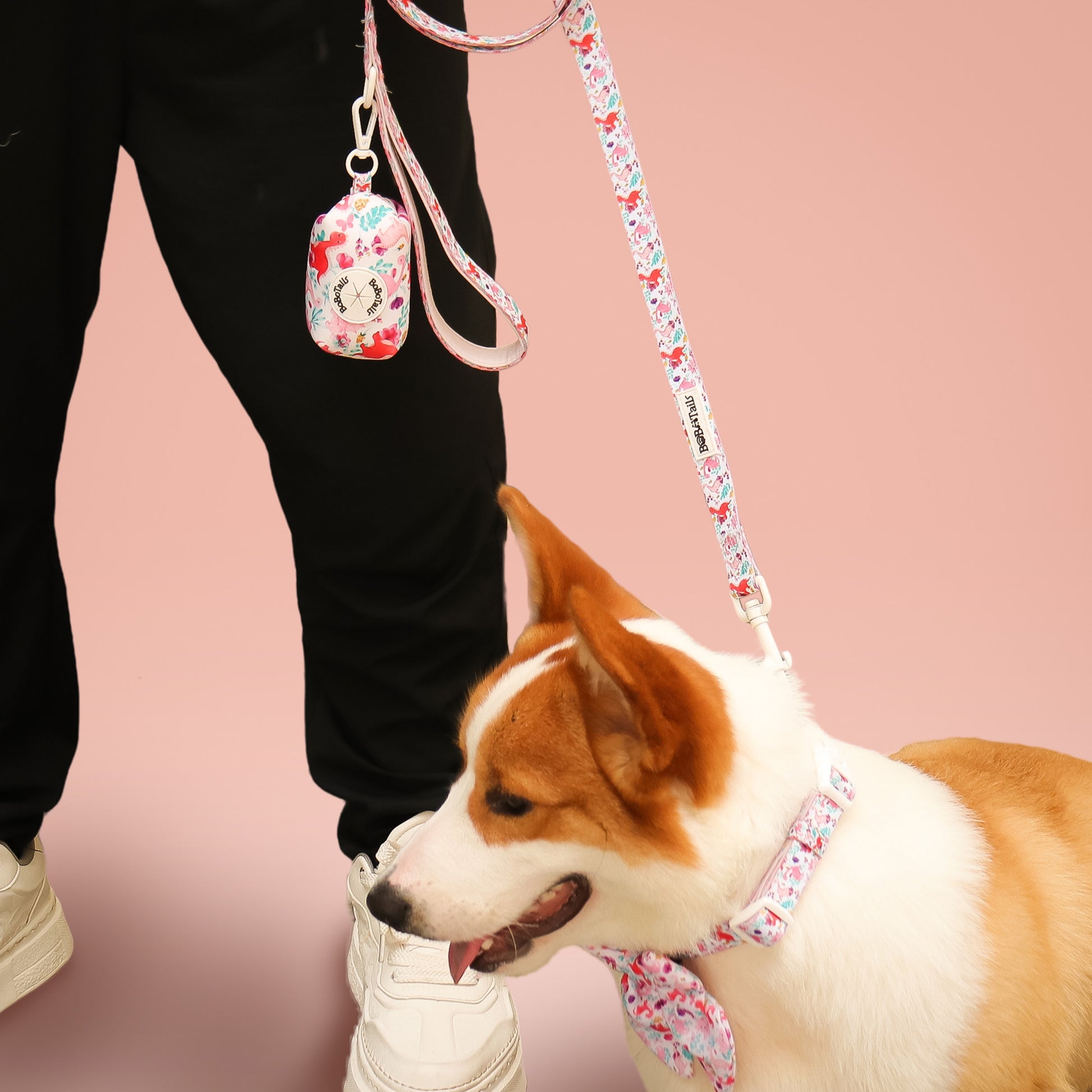 Dinosaur Printed best leash for large dogs matching the harness and owner accessories in a coordinated set