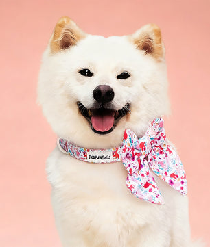 Dinosaur Printed bow tie collar dogs matching the harness and owner accessories in a coordinated set