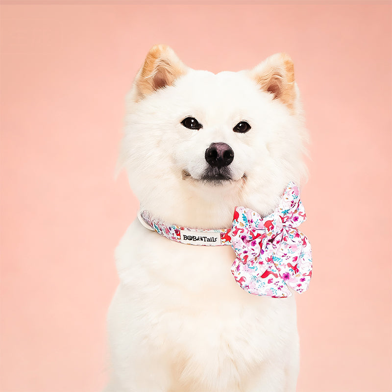 Dinosaur Printed bow tie collar for large dogs  matching the  harness and owner accessories for daily dog walks