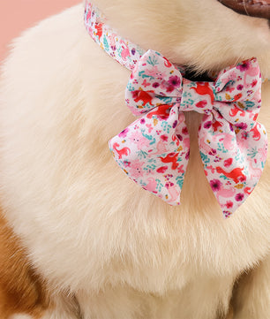 Dinosaur Printed bow tie collars for small dogs designed to match the harness and owner accessories in a coordinated system