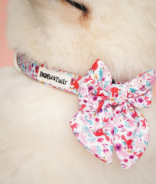 Dinosaur Printed bow tie dog collar small designed to match the harness and owner accessories in a coordinated system
