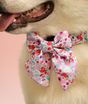 Dinosaur Printed christmas dog bow tie designed to match the harness and owner accessories in a coordinated system