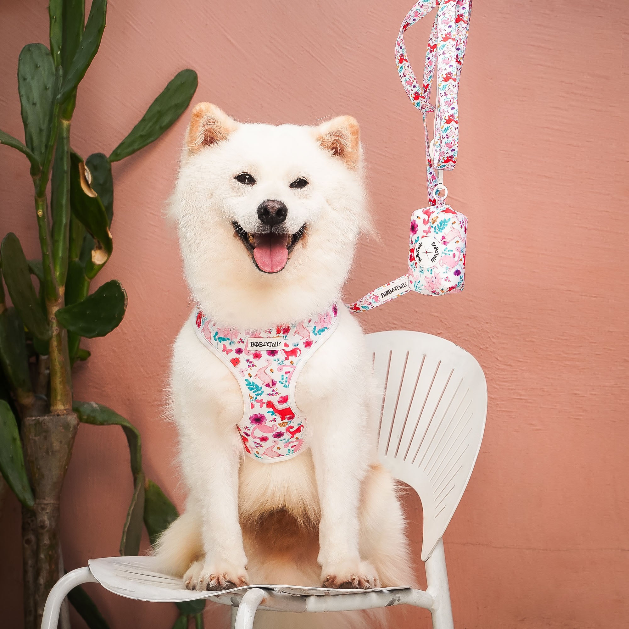 Dinosaur Printed dog harness set  Dinosaur Printed dog harness set