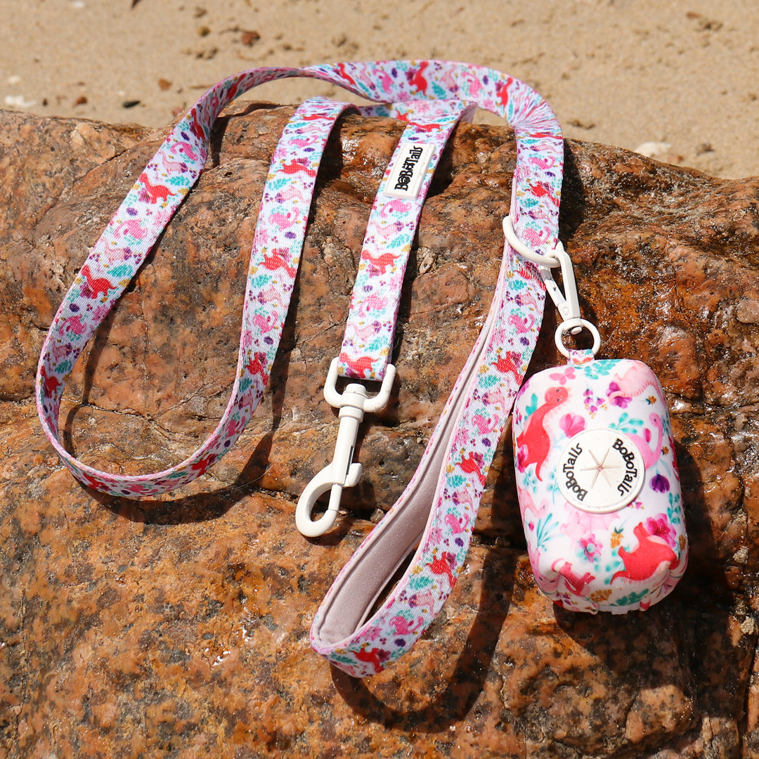 Dinosaur Printed dog leash and harness set as part of a complete dog and owner matching accessory set