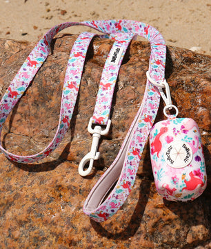 Dinosaur Printed dog leash and harness set as part of a complete dog and owner matching accessory set