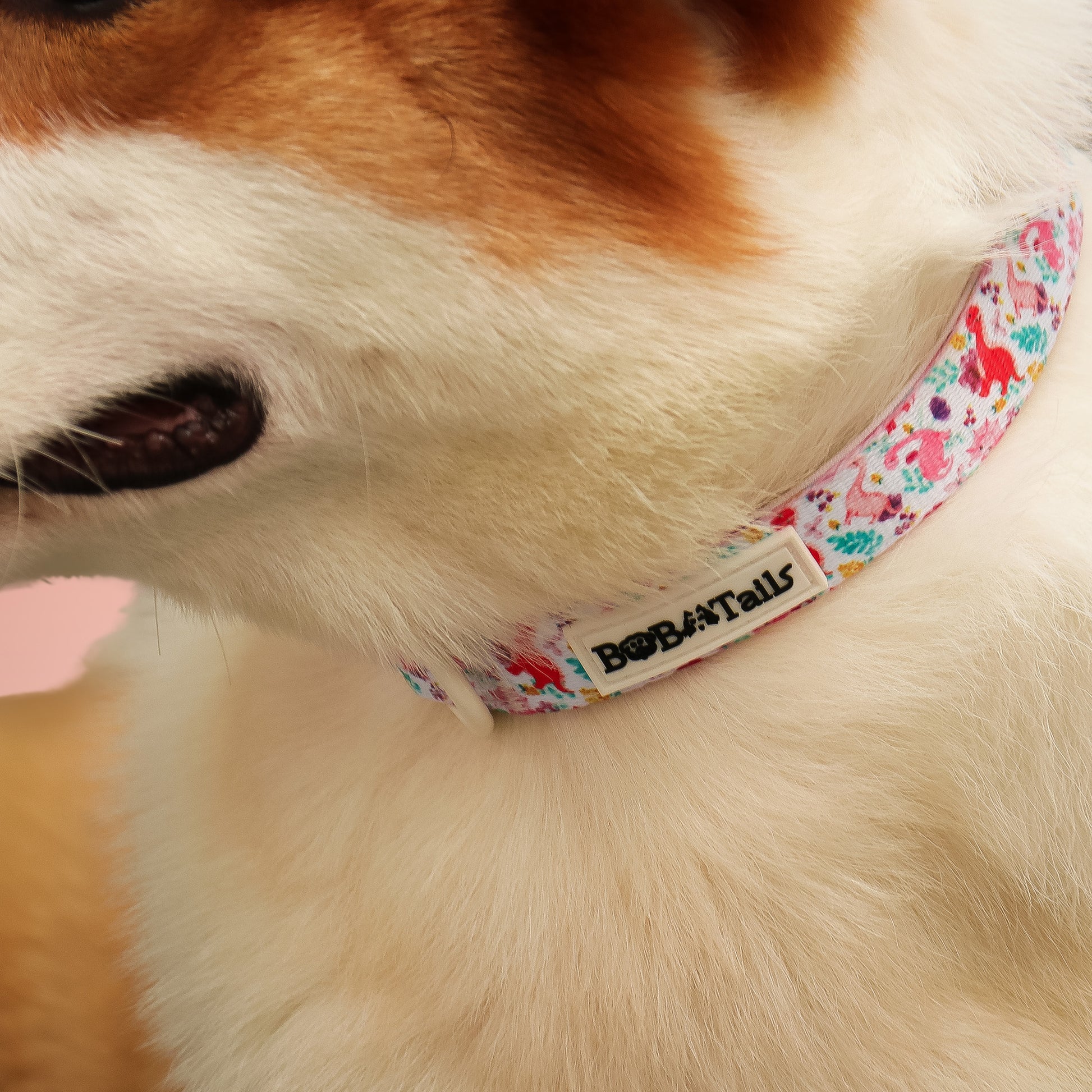 Dinosaur Printed pretty dog collars matching the harness and owner accessories for daily dog walks