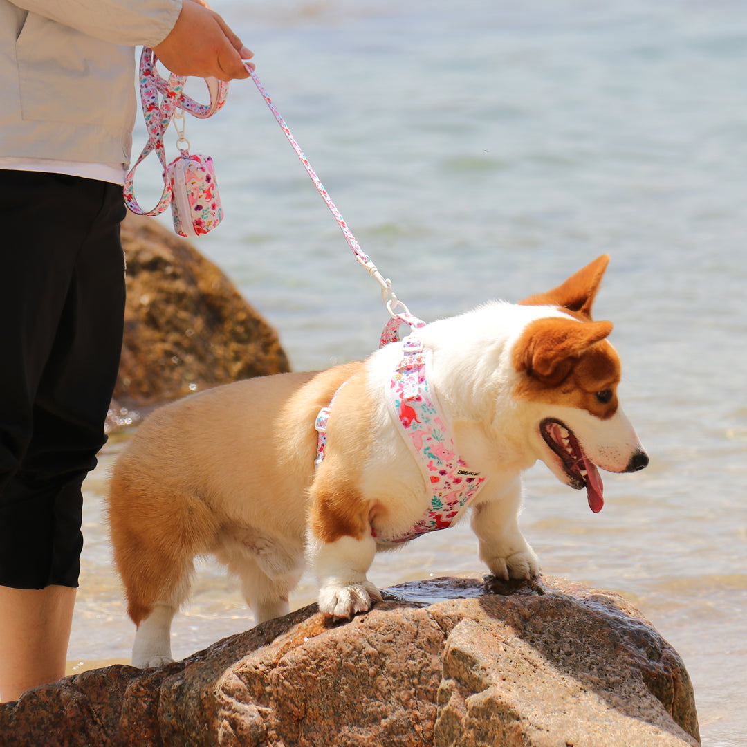 Dinosaur Printed running dog leash  atching the  harness and owner accessories for daily dog walks