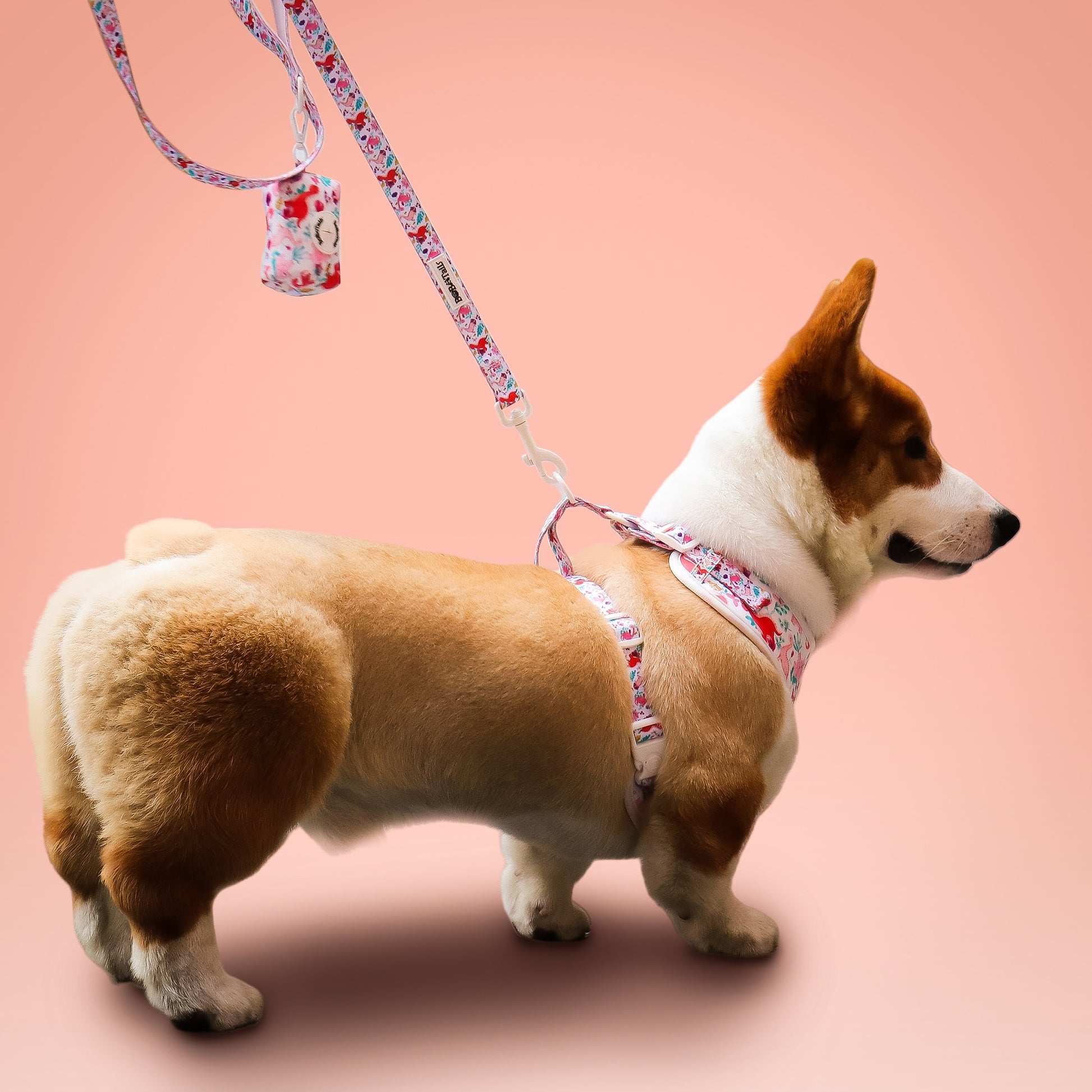Dinosaur Printed small dog harness and leash set as part of a complete dog and owner matching accessory set