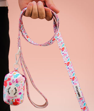 Dinosaur Printed small dog leashes matching the harness and owner accessories in a coordinated set