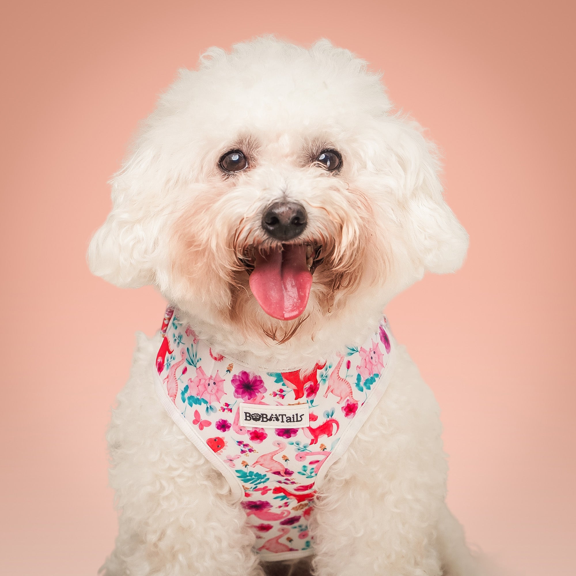 Dinosaur Printed Easy Walk Dog Harness