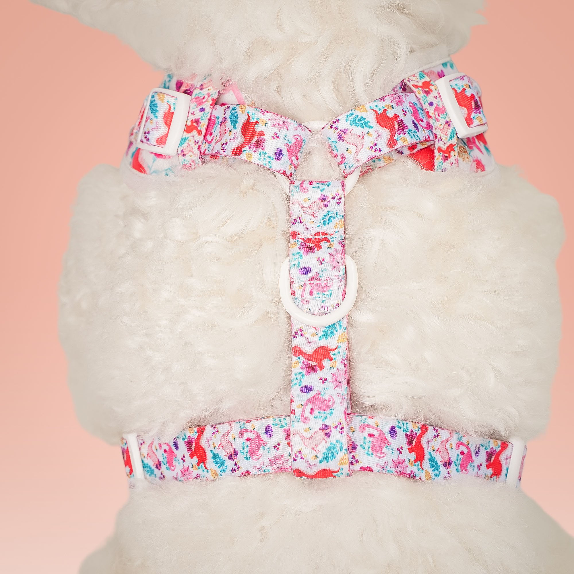 Dinosaur Printed Easy Walk Dog Harness