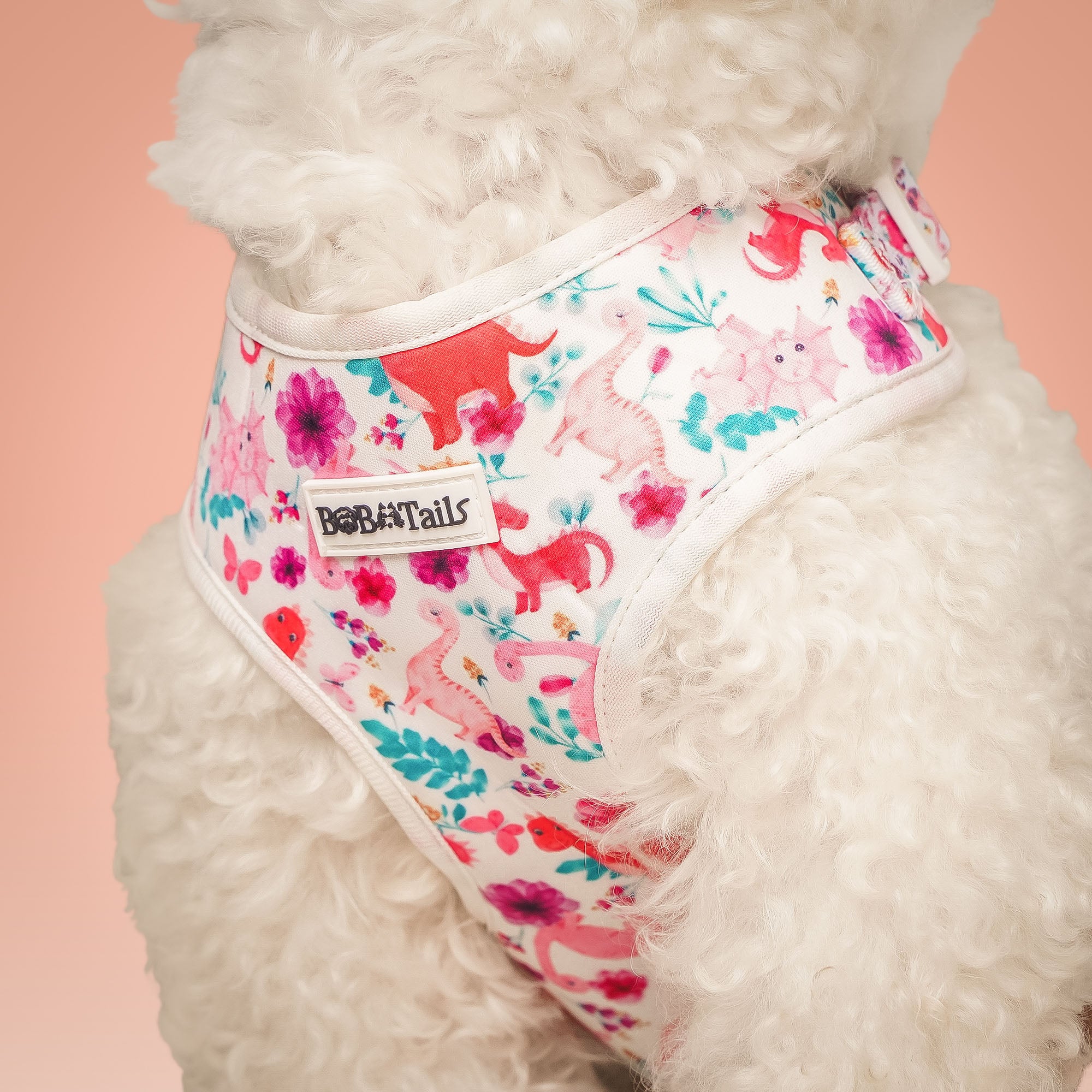 Dinosaur Printed Easy Walk Dog Harness