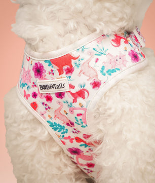 Dinosaur Printed Easy Walk Dog Harness