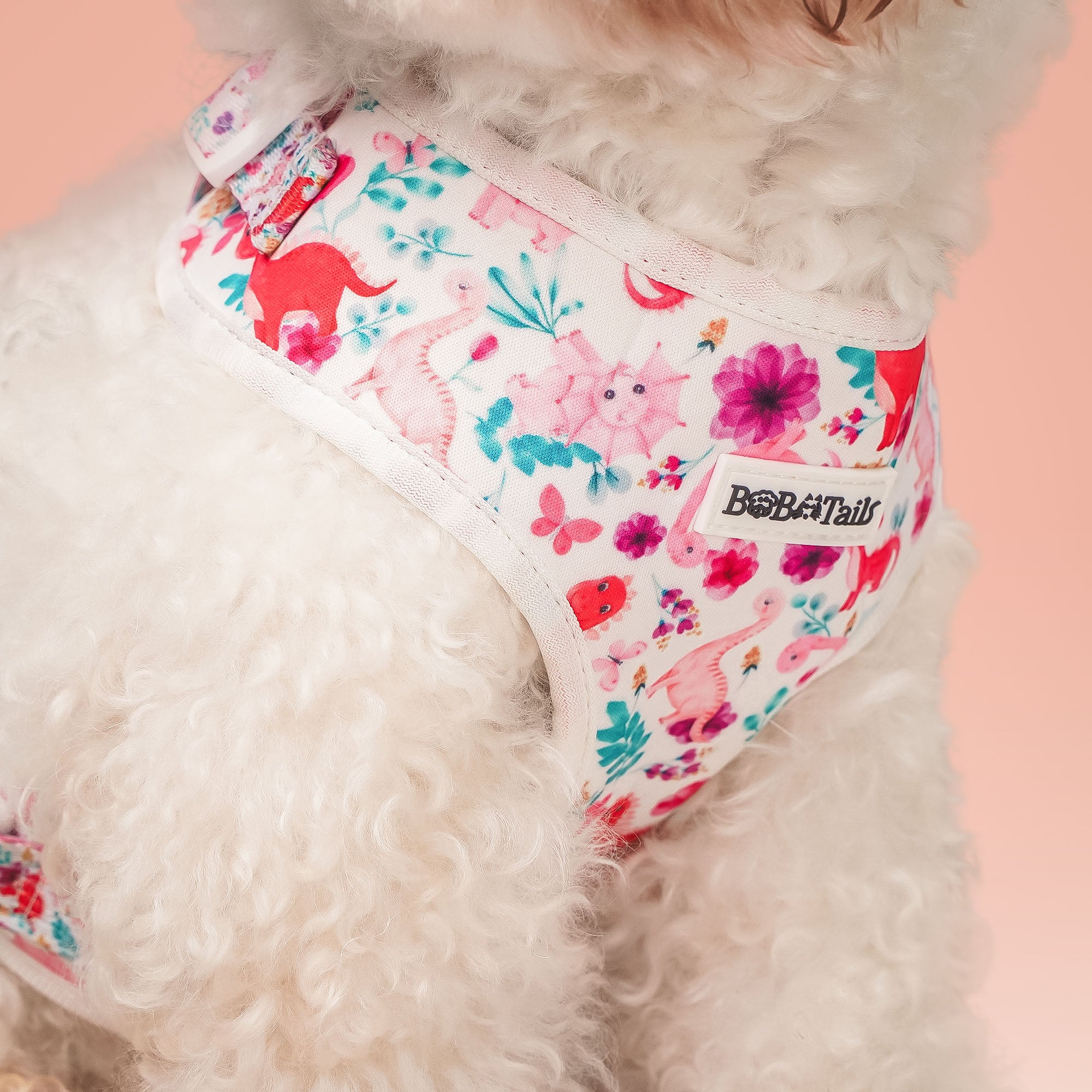 Dinosaur Printed Easy Walk Dog Harness