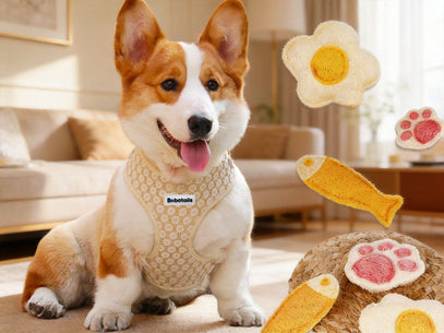 Corgi dog wearing a sweater with a visible brand logo, surrounded by plush toys in a living room setting.