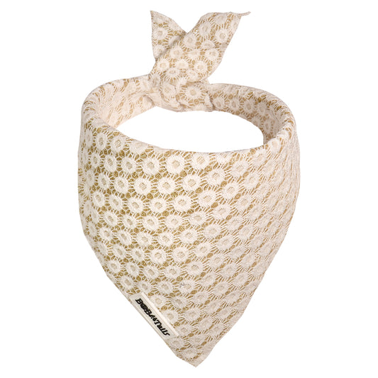 Floral Brilliance Dog Bandanas