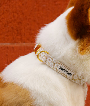 フローラルブリリアンスドッグカラー