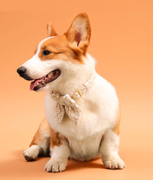 Bobotails floral brilliance matching accessories bow tie 