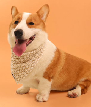 ニット犬用バンダナ