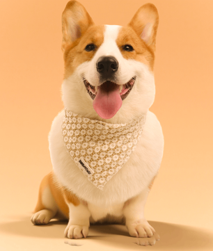 ニット犬用バンダナ