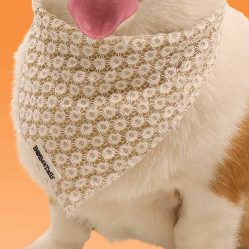 Floral Brilliance Dog Bandanas