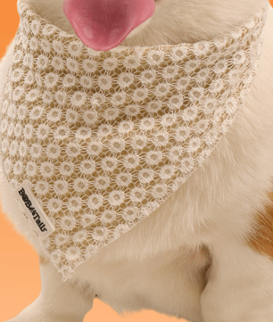 ニット犬用バンダナ