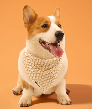 ニット犬用バンダナ