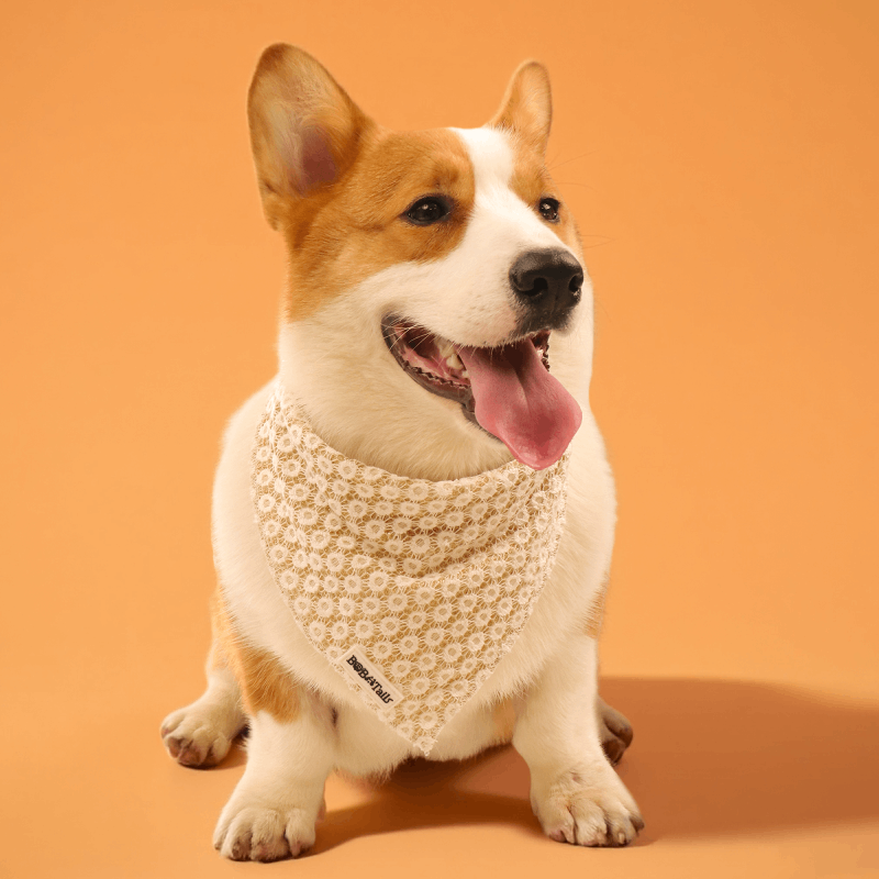 ニット犬用バンダナ