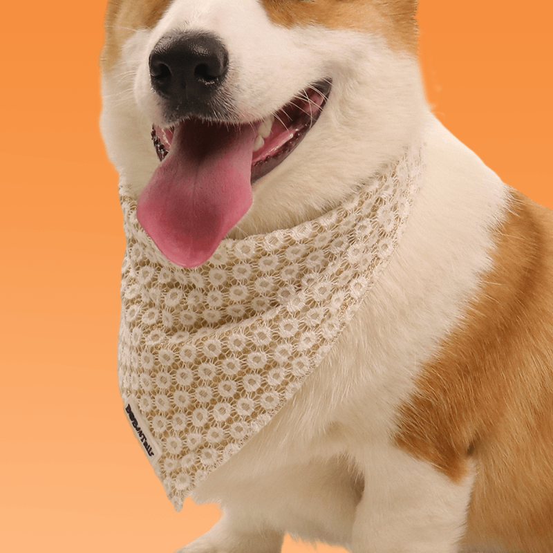 Floral Brilliance Dog Bandanas