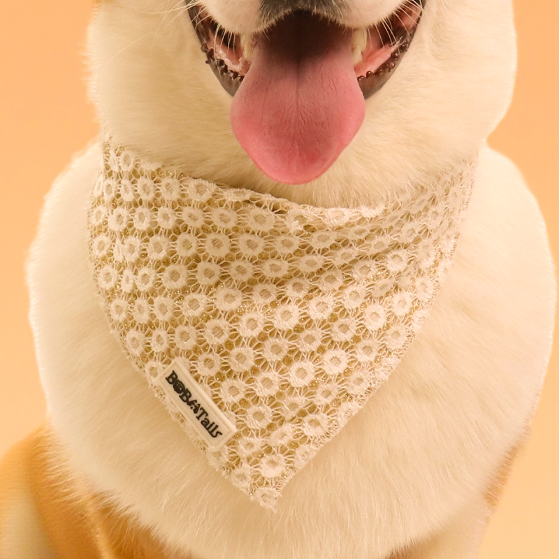 Floral Brilliance Dog Bandanas