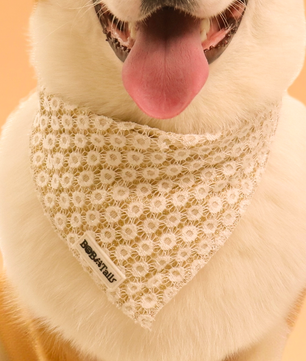 ニット犬用バンダナ