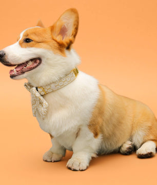 Floral Brilliance Dog Bow Tie