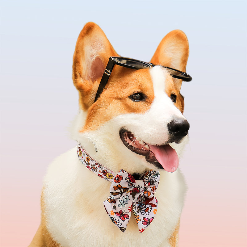 花柄犬用蝶ネクタイ