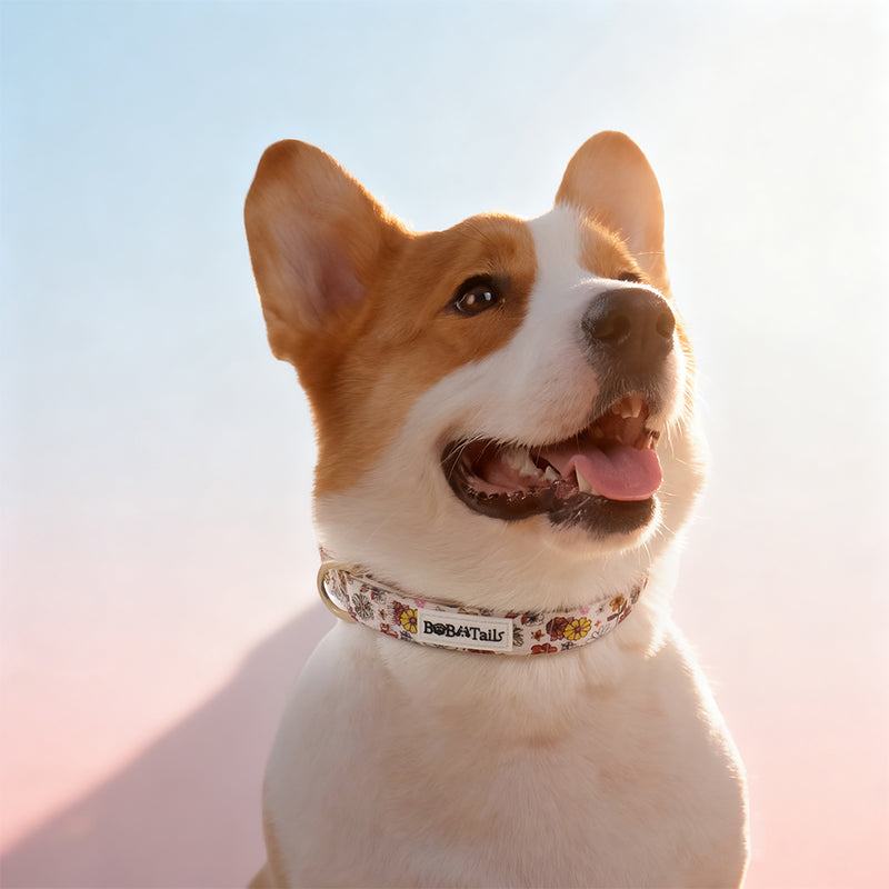 Flower Printed Cool Dog Collar