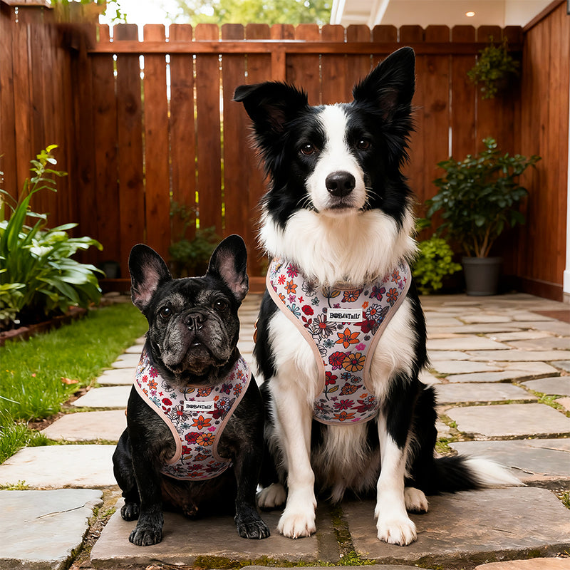 Blume Gedruckt Rough Wear Hundegeschirr