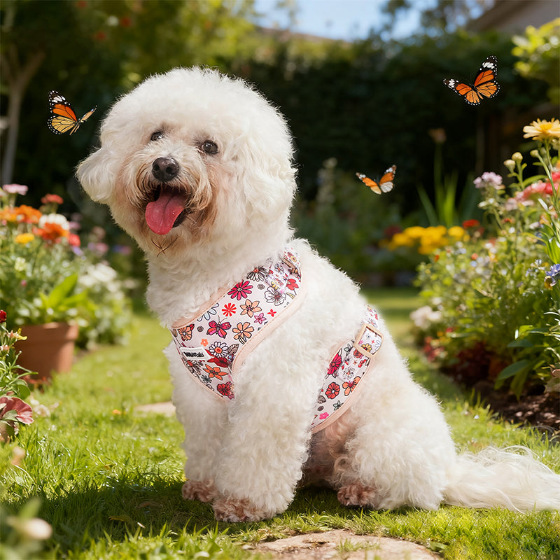 Flower Printed Rough Wear Dog Harness