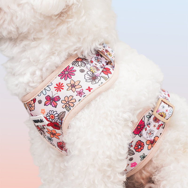 Flower Printed Rough Wear Dog Harness