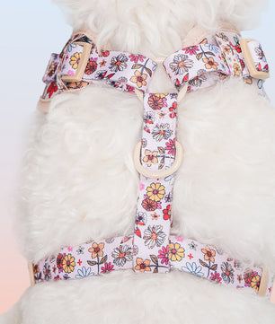 Flower Printed Rough Wear Dog Harness
